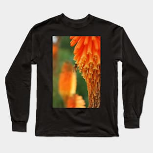 hoverfly in blossom Long Sleeve T-Shirt